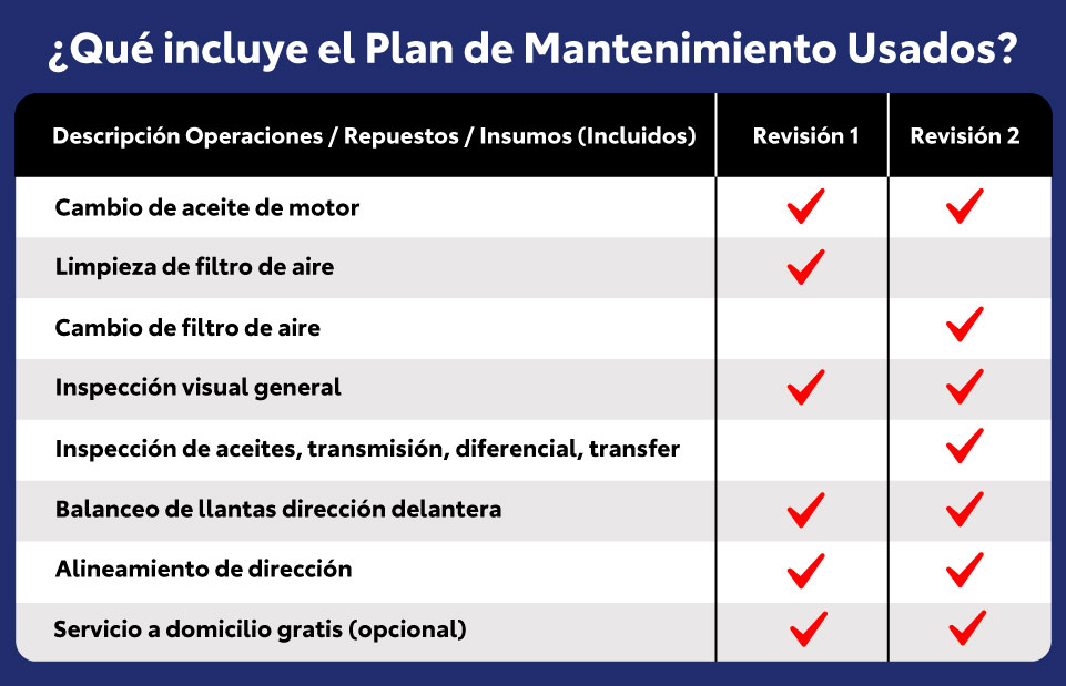 ¿Qué incluyen estas revisiones?